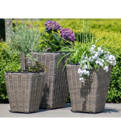 Winchester Planters Shaped Set